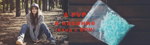 бошки Дмитров