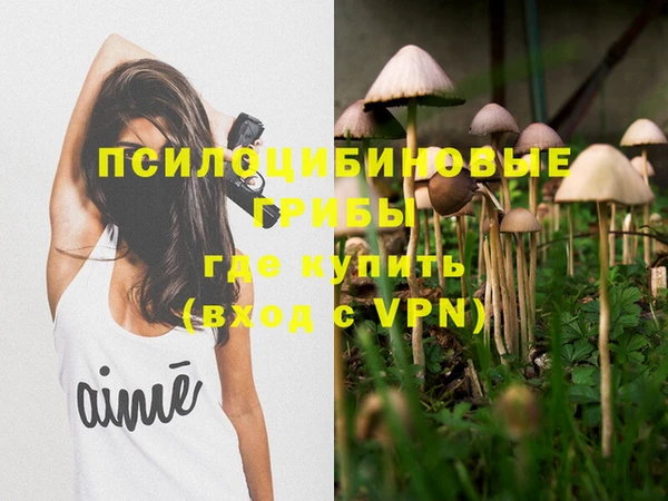 бошки Дмитров
